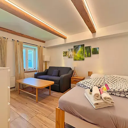 Innsbruck Old Town Studio I 24-7 Self-Check-In Innsbruck